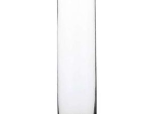 Βάζο Γυάλινο Carly 02.1041805 9x30cm Clear Plastona